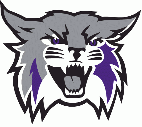 Weber State Wildcats 2012-Pres Primary Logo diy iron on heat transfer